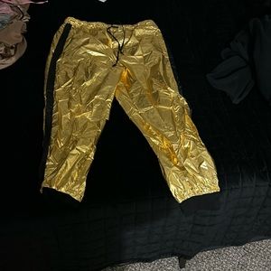 Metallic pants